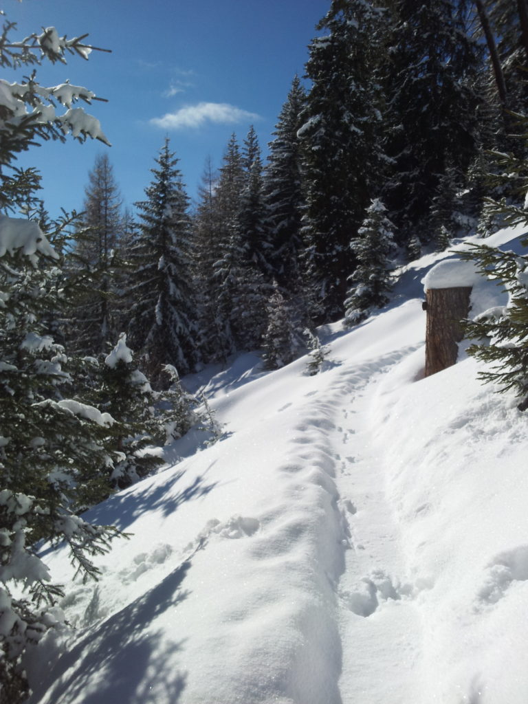20130216_113052