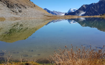 Le Tour du Lac de Mauvoisin