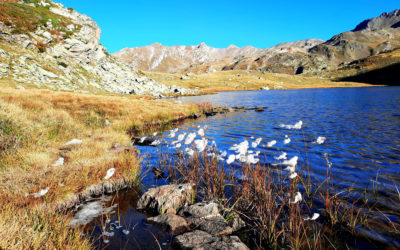 L’envoûtante Vallée de la Clarée !