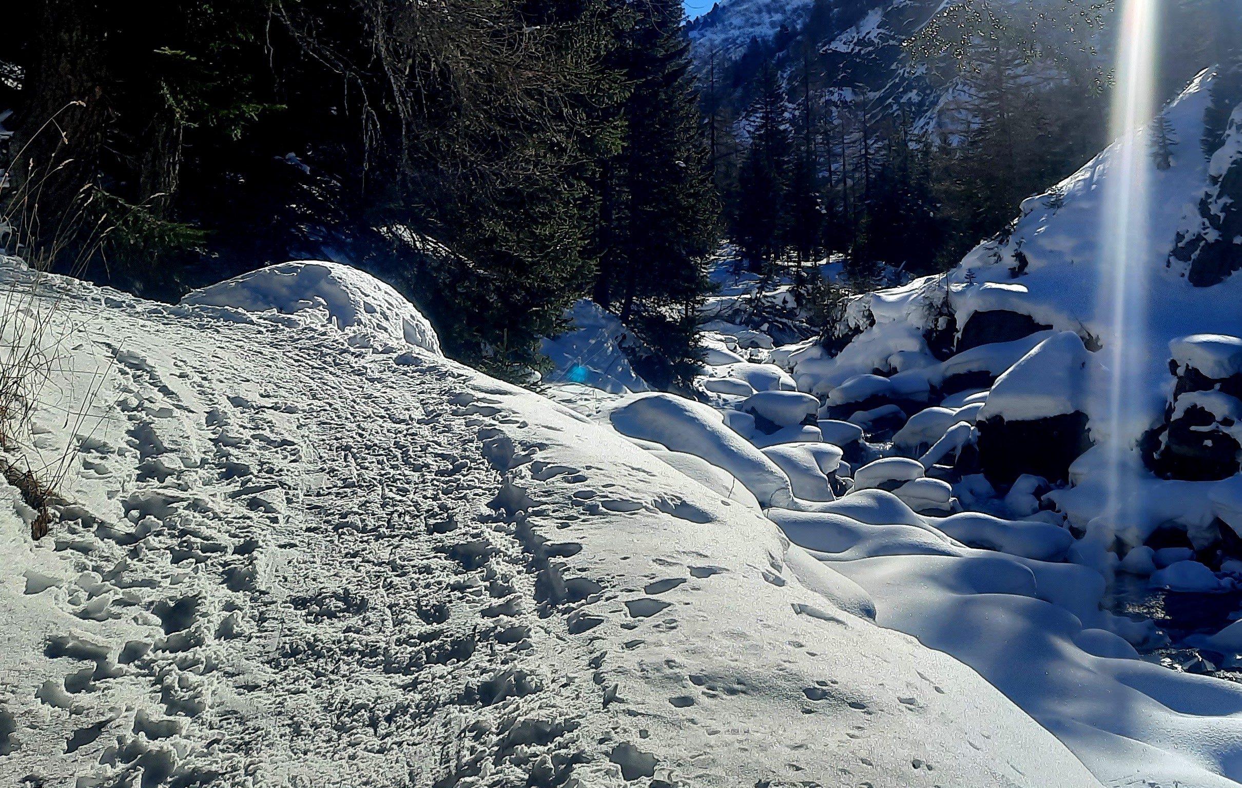 KANDERSTEG - HIVER