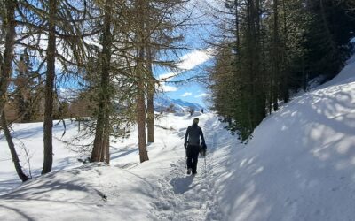 Moosalp, la nature au coeur du Valais