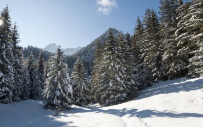 Féérie hivernale aux Contamines-Montjoie