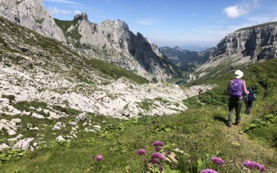 Le Toggenburg et la chaîne des Churfirsten