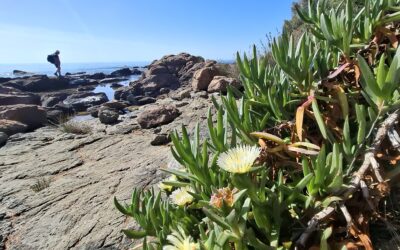 Voyage dans les lumières de  l&rsquo;Esterel (Côte d&rsquo;Azur)