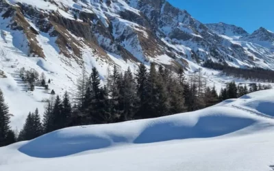 Au Pays du St-Bernard en janvier